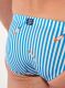 ������-����� "Viareggio Swim Briefs - Blue/White Stripes" 